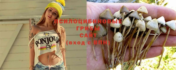 spice Киренск