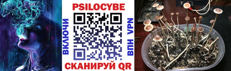 Купить где  Богучар  Галлюциногенные грибы прущие грибы 